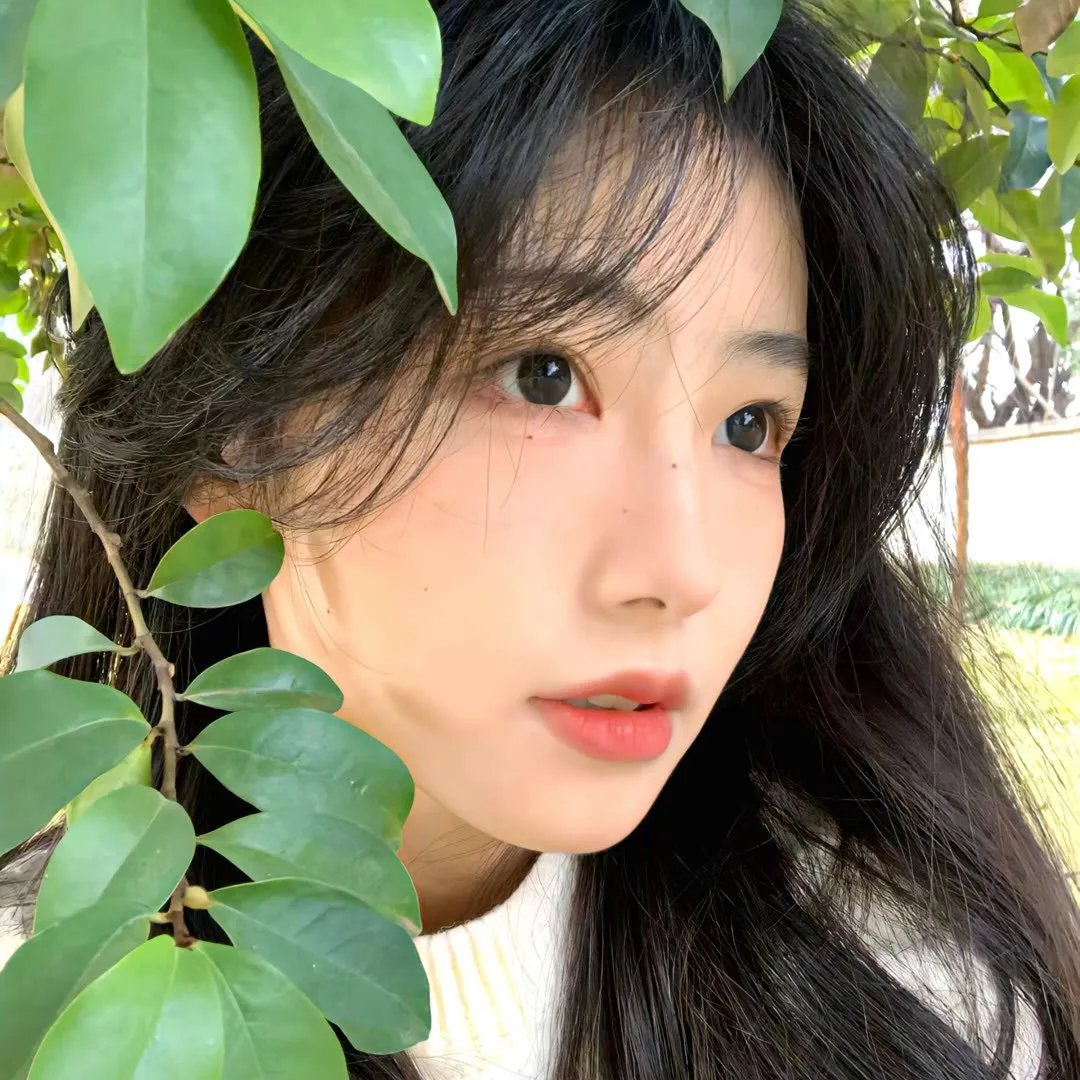 夺宝记