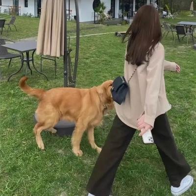 工作的孩子